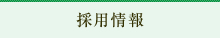 採用情報